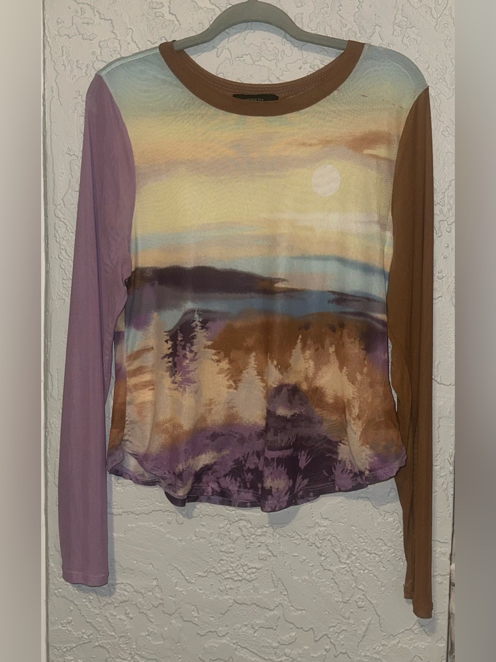 Forever 21 Scenic Print Long-Sleeve Sheer Top in Purple and Brown